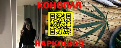 шишки Заводоуковск