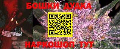 шишки Заводоуковск