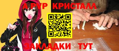 шишки Заводоуковск