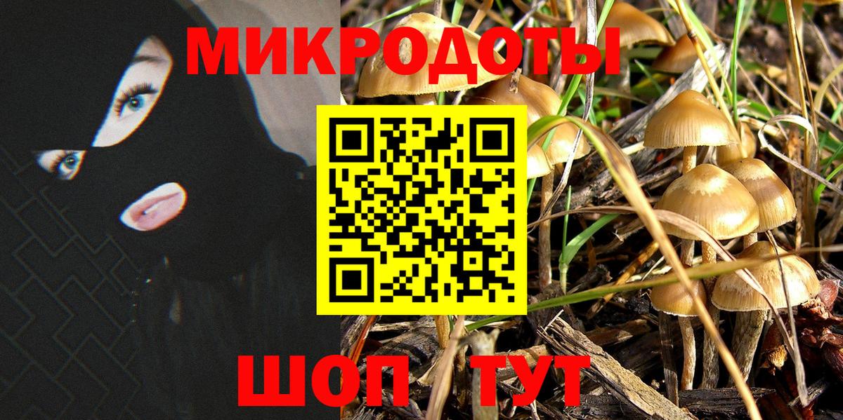 Псилоцибиновые грибы GOLDEN TEACHER  Вход с VPN  Людиново 